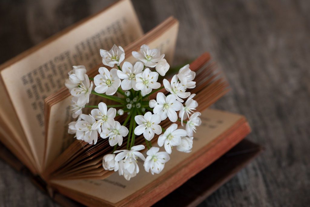 ספר ופרחים לבנים