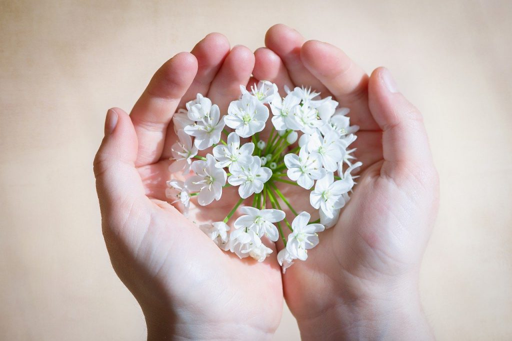 ידיים מחזיקות פרחים לבנים